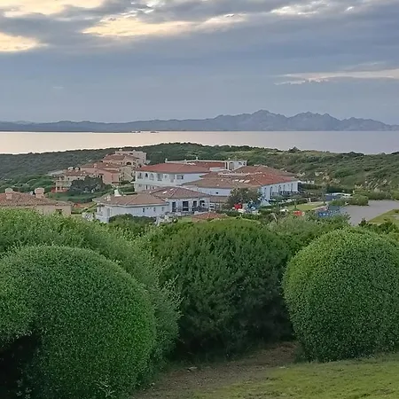 Localita Cala Del Faro. Affitto Bilocale Con Portico E Giardino. *