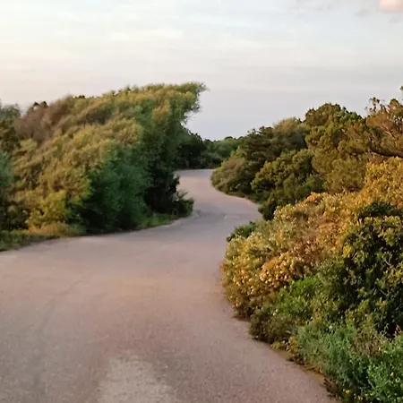 Localita Cala Del Faro. Affitto Bilocale Con Portico E Giardino. شقة *