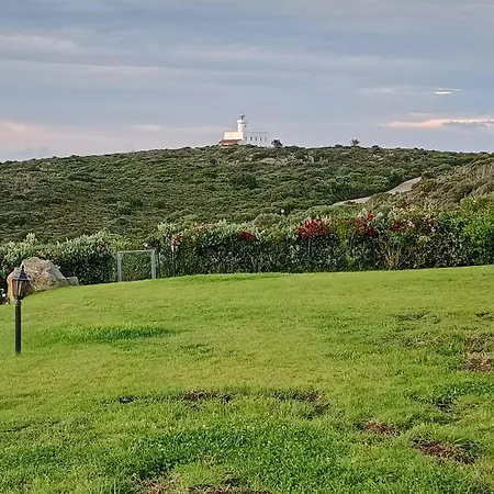 Localita Cala Del Faro. Affitto Bilocale Con Portico E Giardino. Apartment *