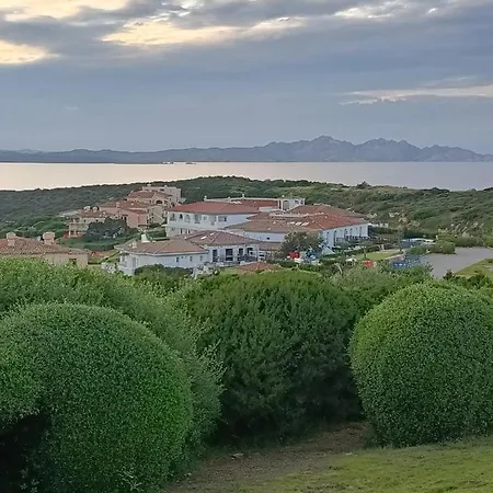 Localita Cala Del Faro. Affitto Bilocale Con Portico E Giardino. *