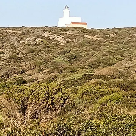 Localita Cala Del Faro. Affitto Bilocale Con Portico E Giardino.
